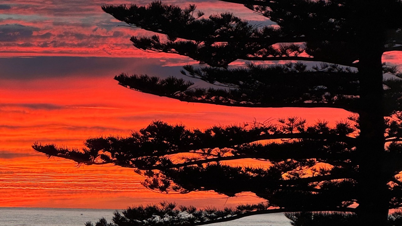 Photo of Others in Shellharbour