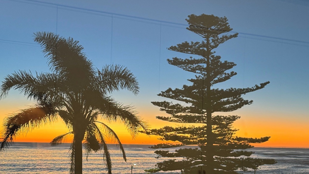 Photo of Others in Shellharbour