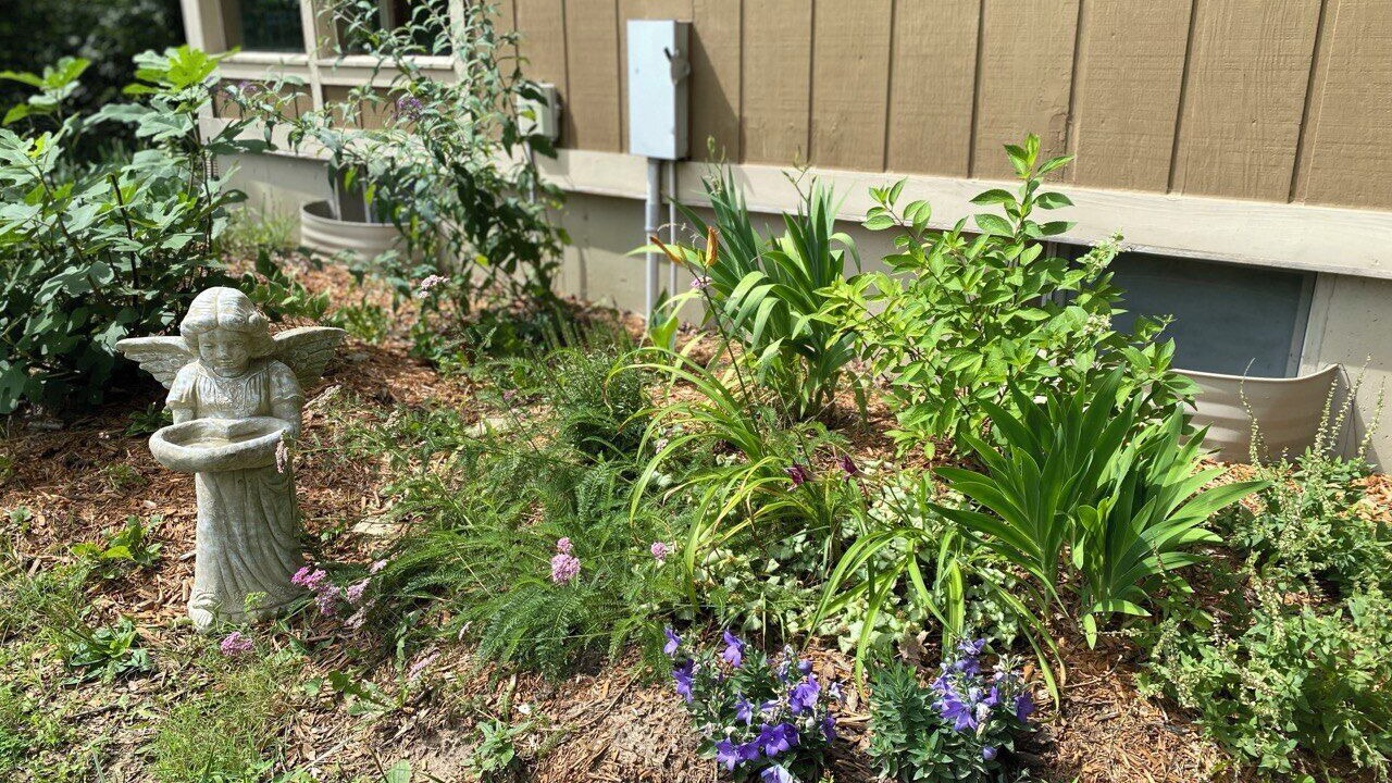 Photo of Outdoor in Jefferson County