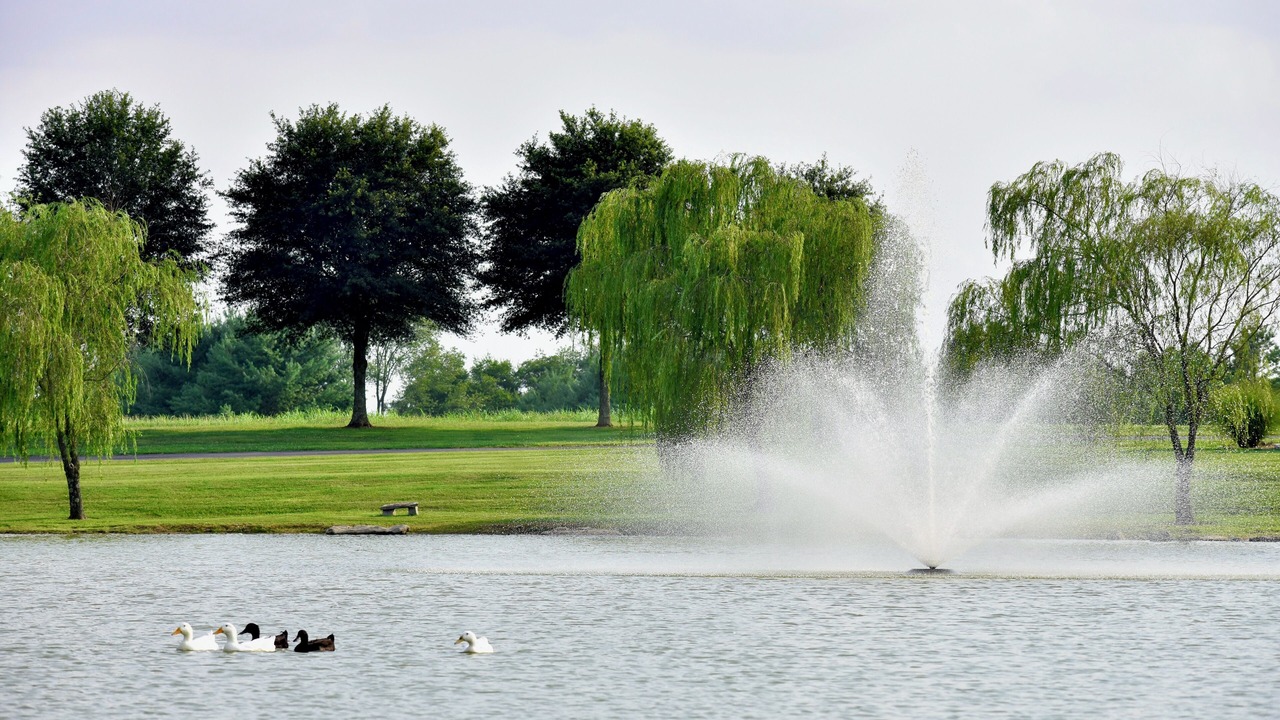 Photo of Outdoor in Castalian Springs
