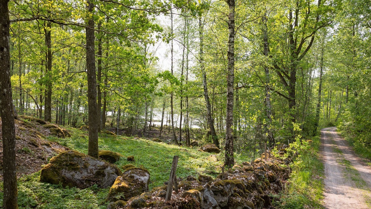 Photo of Outdoor in Tvetaryd