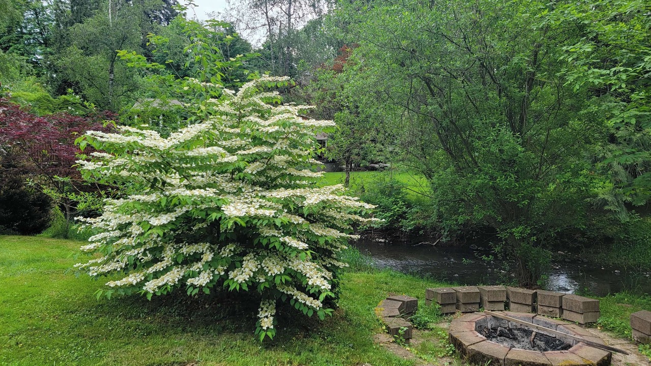 Photo of Outdoor in Gresham