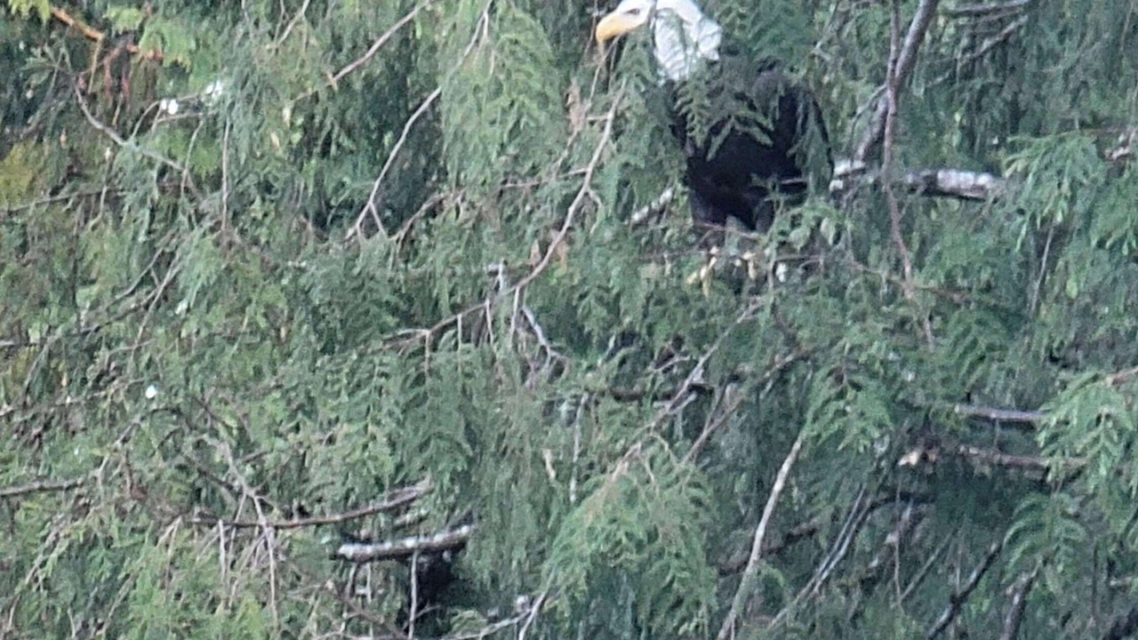 Photo of Others in Gresham