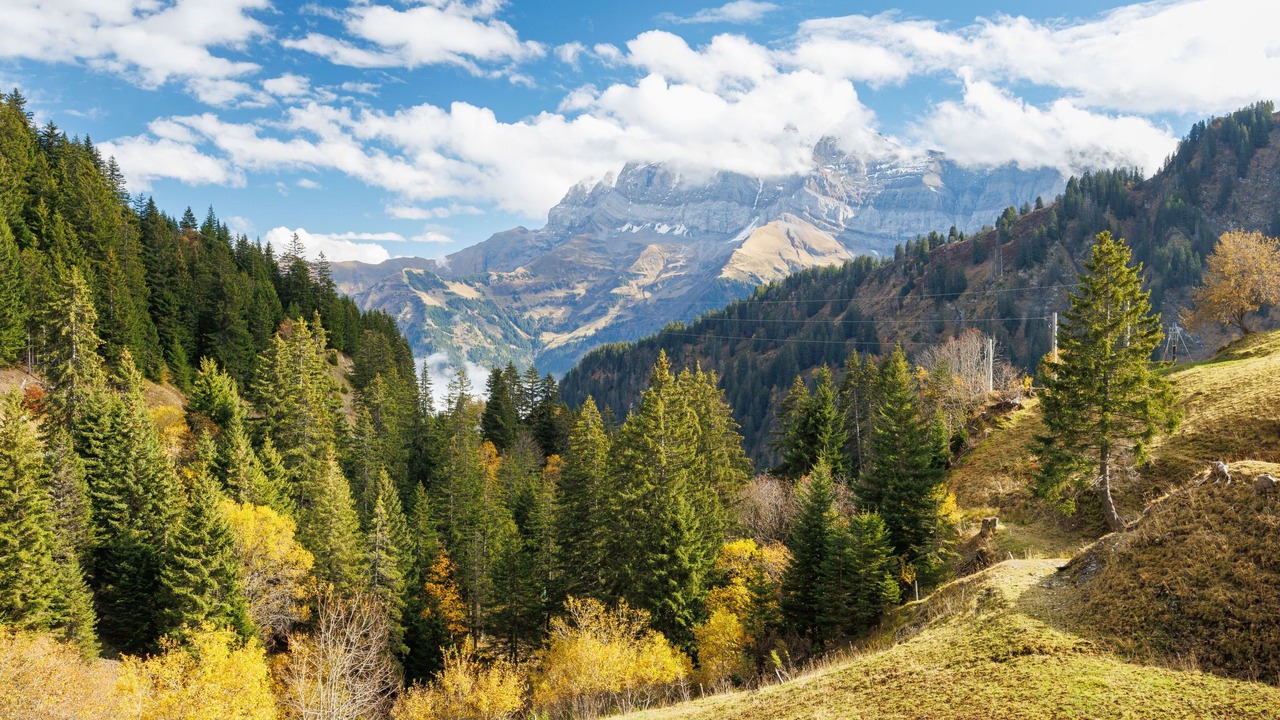 Photo of Others in Val d'Illiez