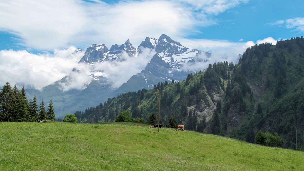Photo of Others in Val d'Illiez