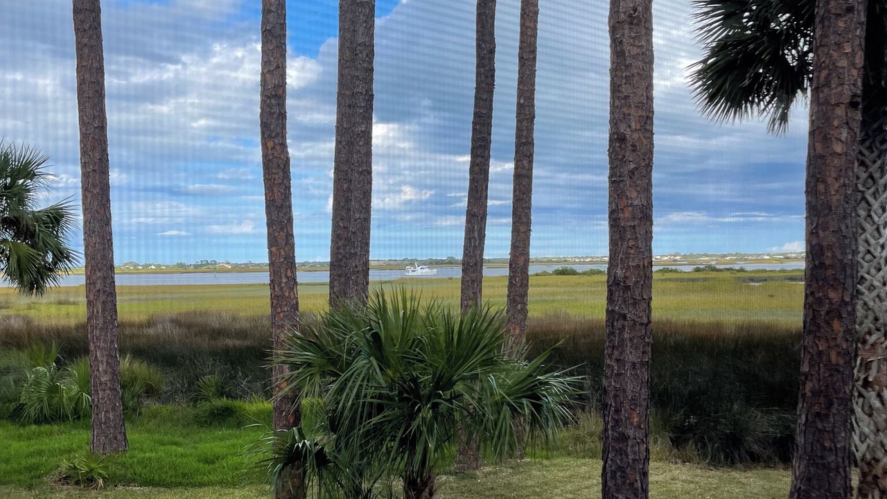 Photo of Outdoor in Saint Augustine Shores