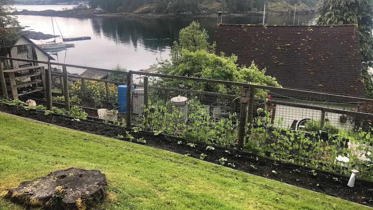 Photo of Outdoor in Quathiaski Cove