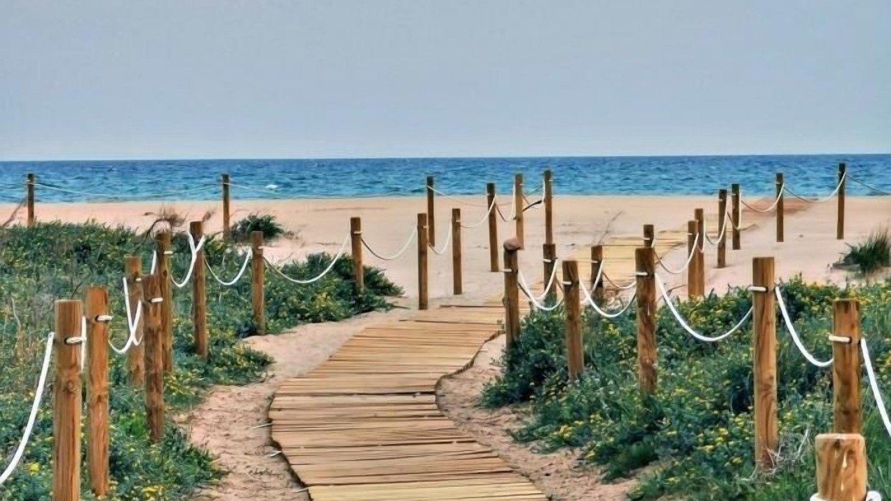 Photo of Others in Sagunto