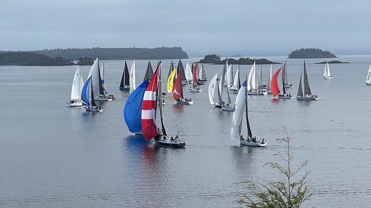 Photo of Others in Telegraph Cove