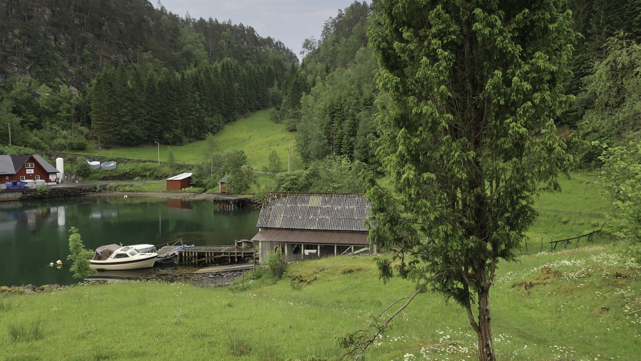 Photo of Outdoor in Fusa