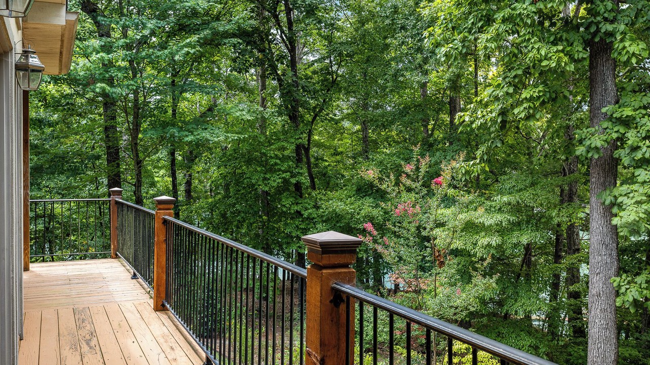 Photo of Outdoor in Saxony Forest