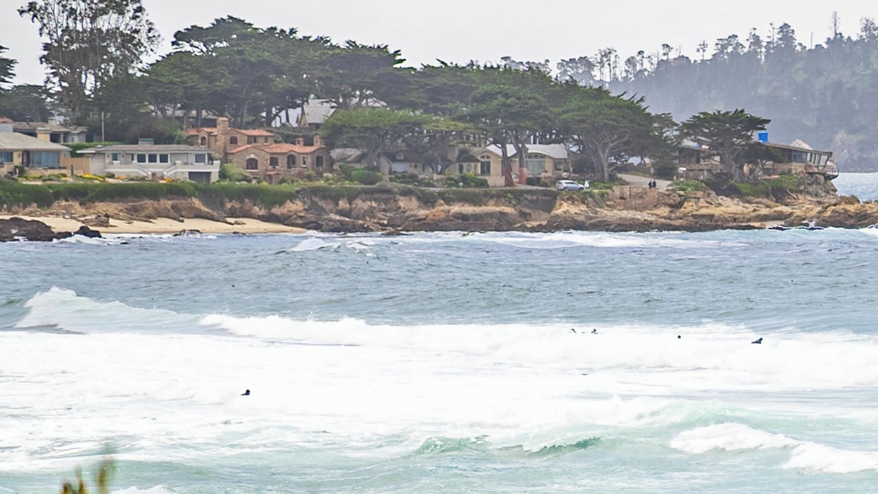Photo of Others in Northeast Carmel