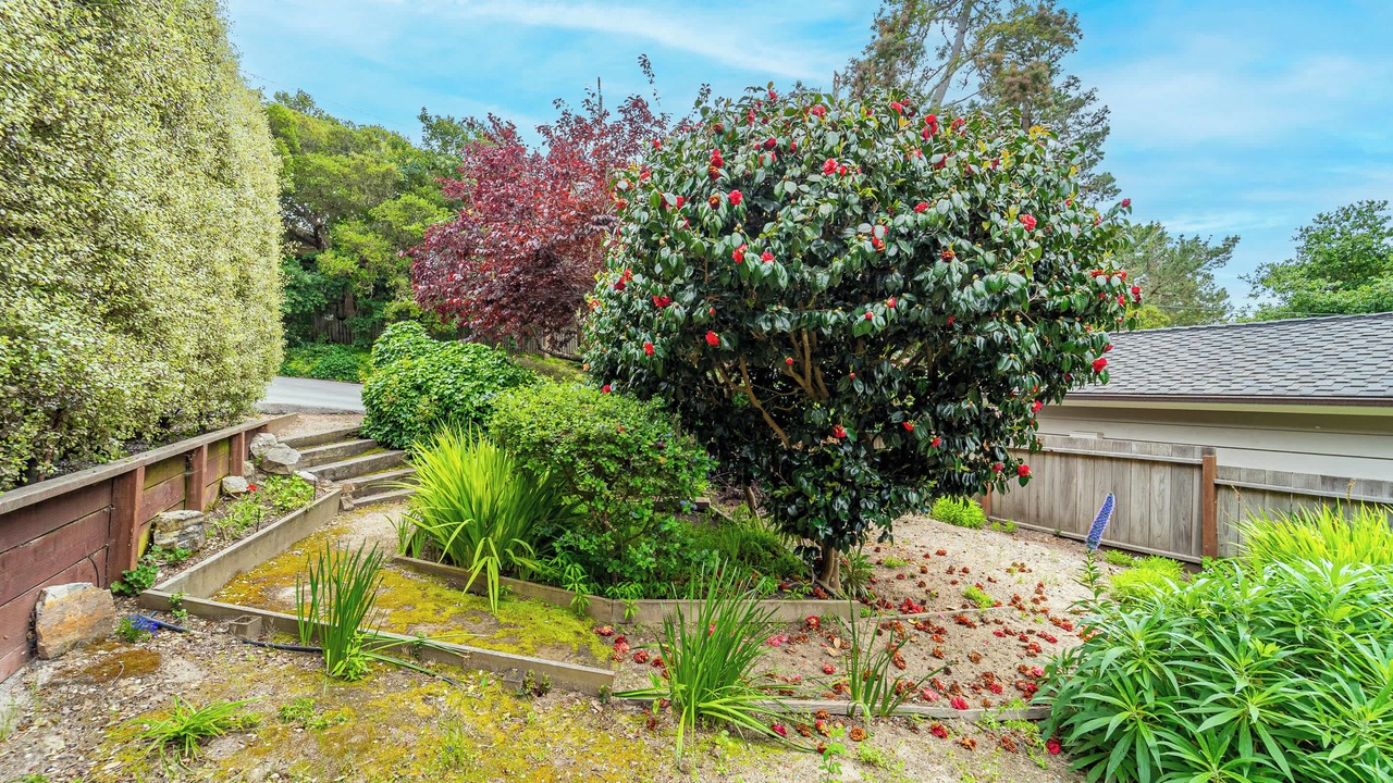 Photo of Outdoor in Northeast Carmel