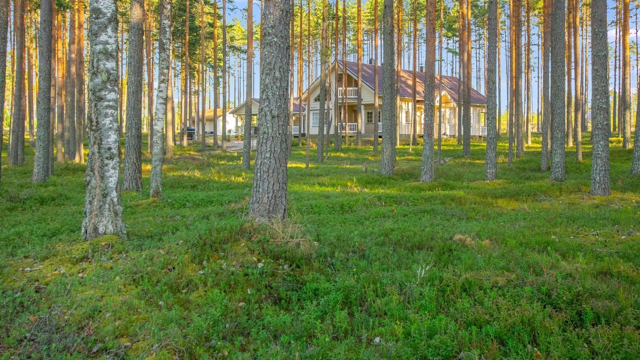 Photo of Outdoor in Savonlinna