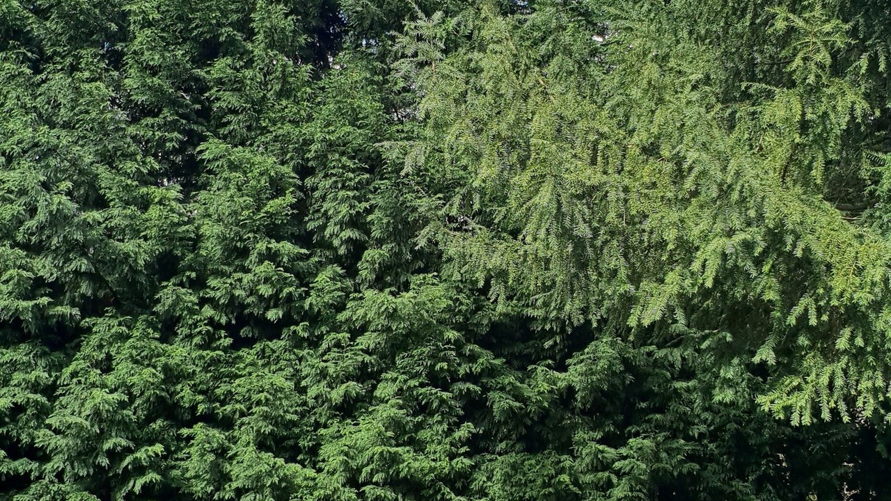 Photo of Outdoor in Liege