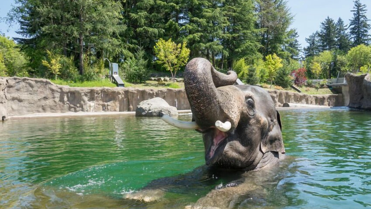 Photo of Others in Tigard