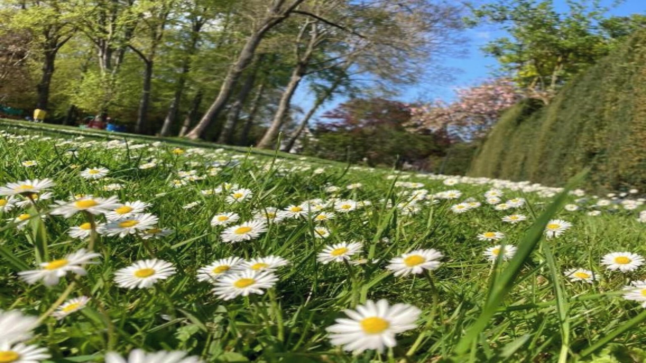 Photo of Outdoor in Sterrebeek