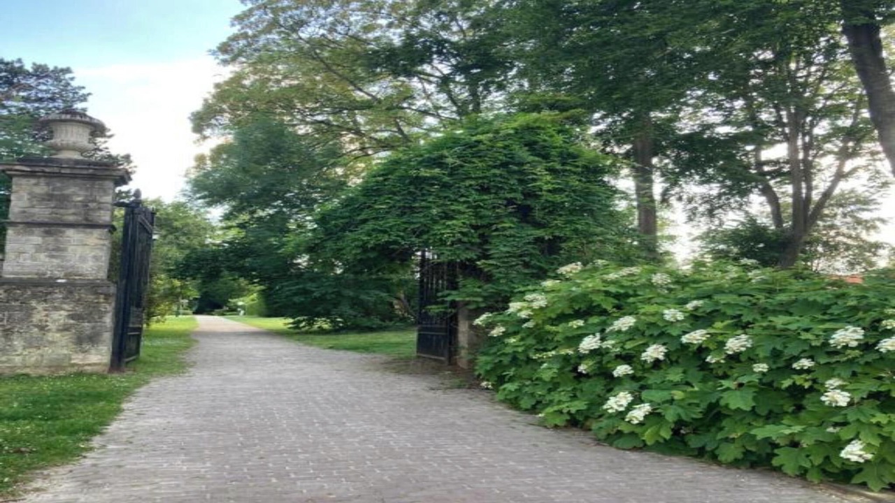 Photo of Outdoor in Sterrebeek