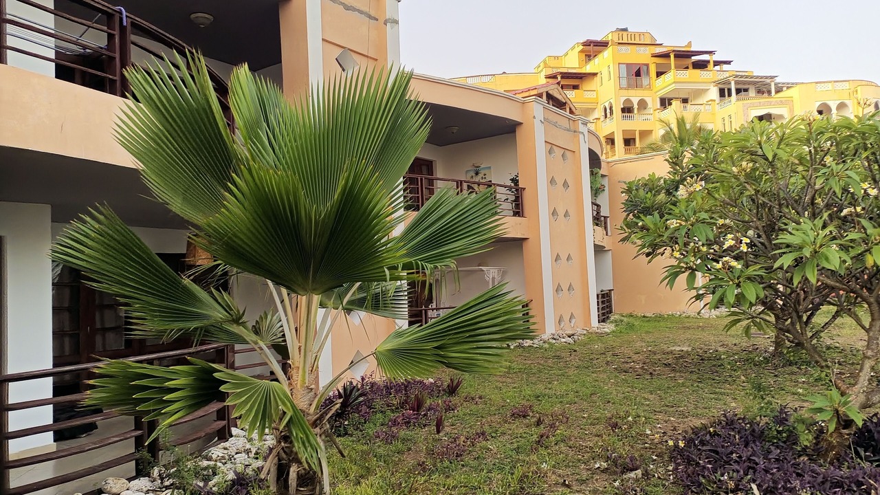 Photo of Outdoor in Shanzu