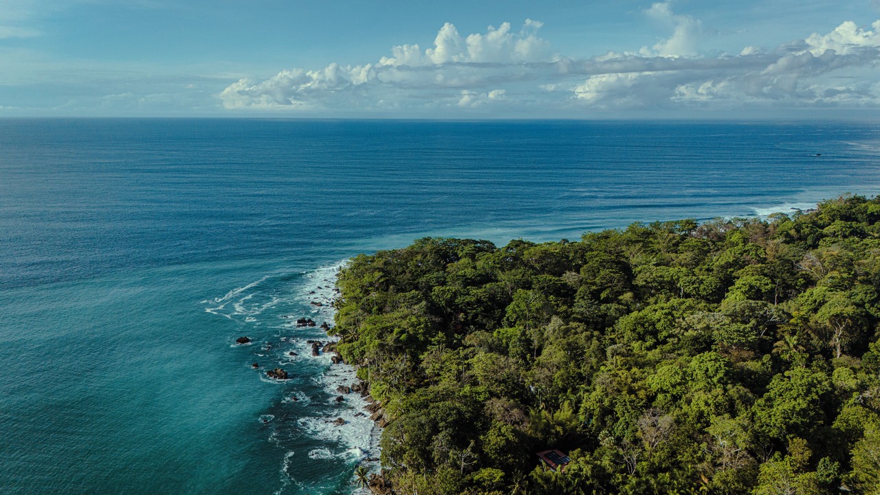 Photo of Outdoor in Cabo Matapalo