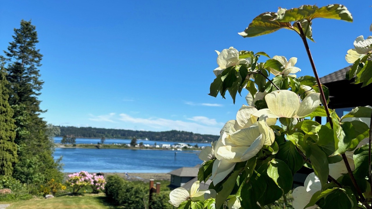 Photo of Outdoor in Campbell River