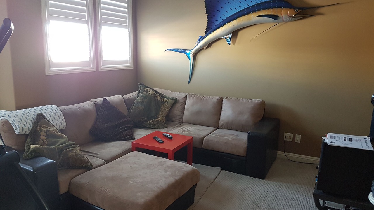 Photo of Livingroom in Southeast Calgary