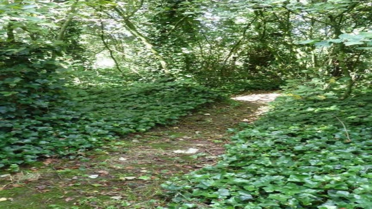 Photo of Others in Rijkevorsel