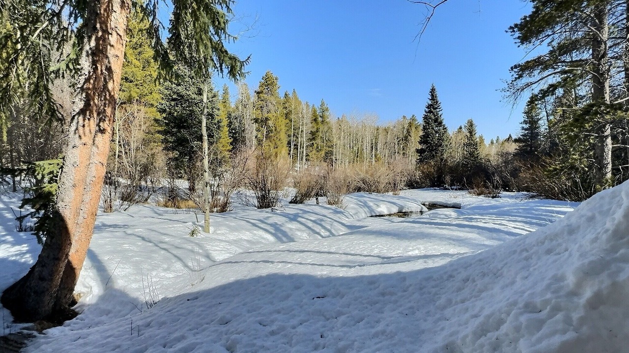 Photo of Outdoor in Evergreen
