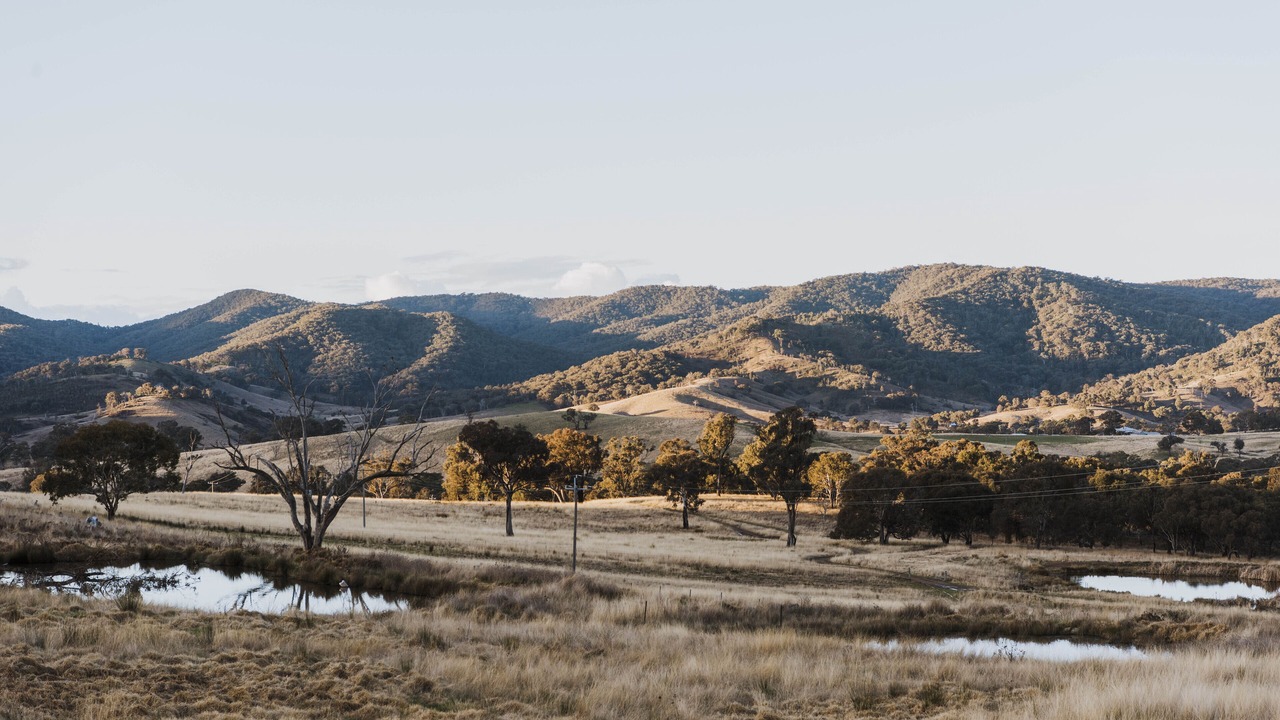 Photo of Outdoor in Meroo