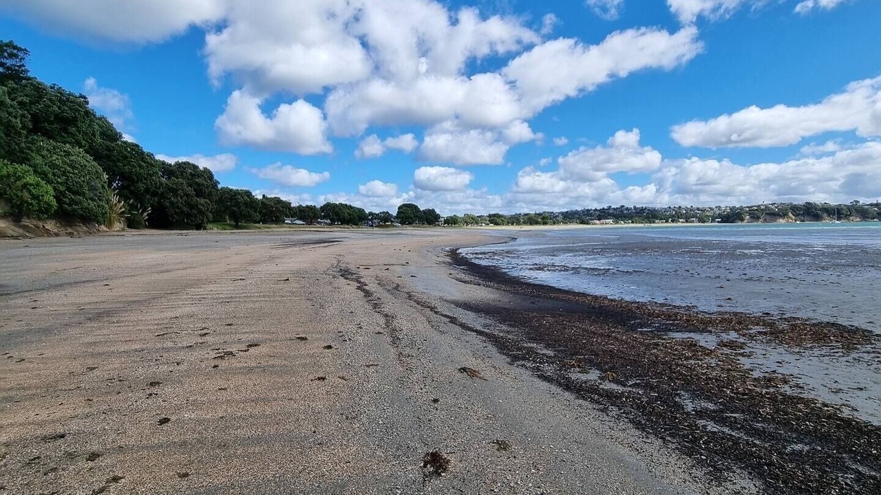 Photo of Others in Stanmore Bay