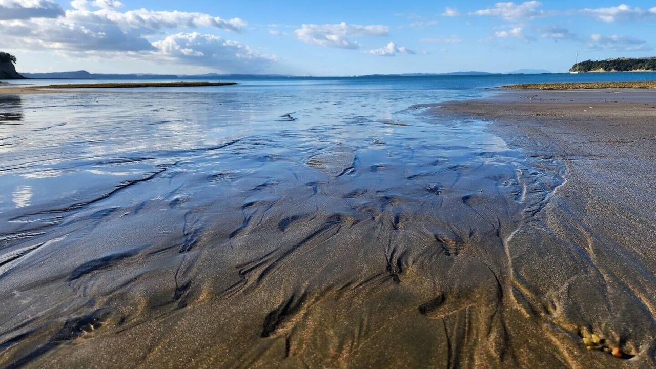 Photo of Others in Stanmore Bay