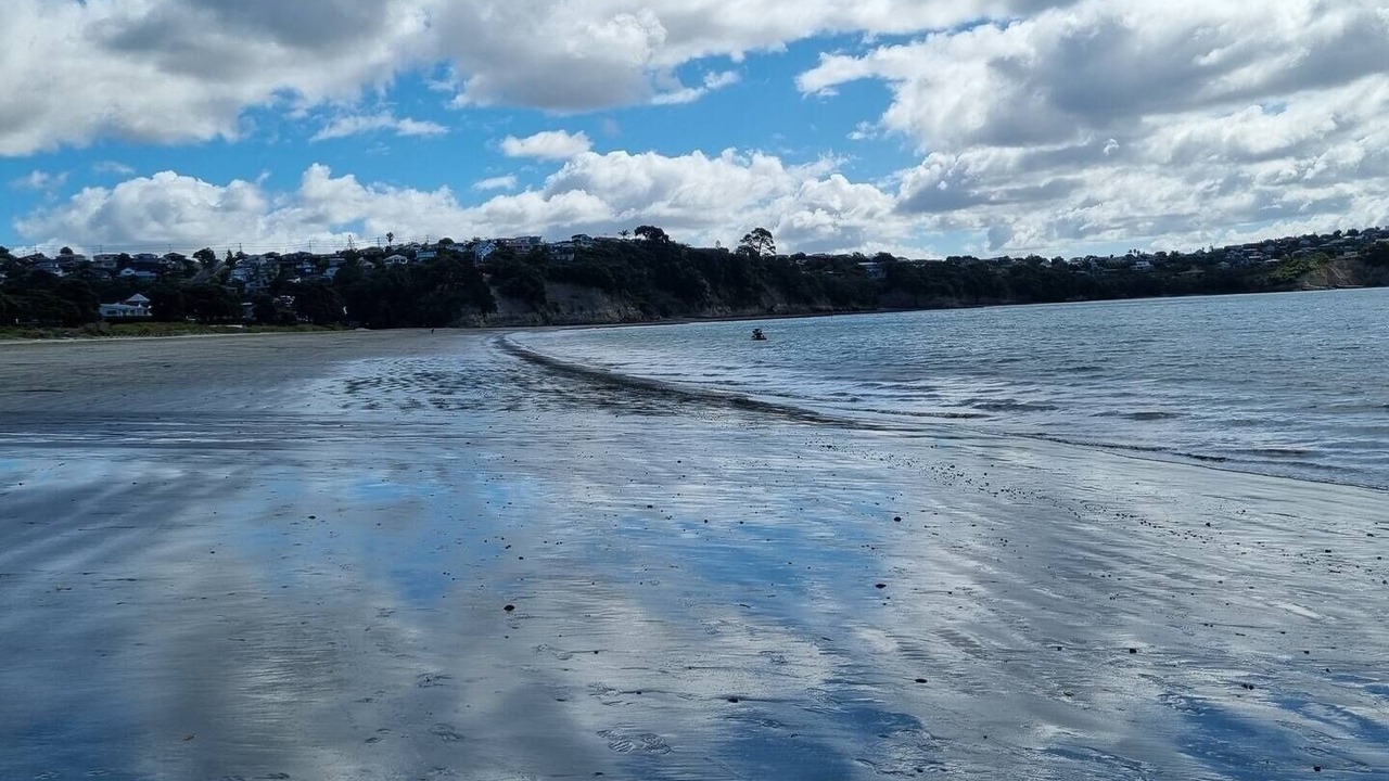 Photo of Others in Stanmore Bay