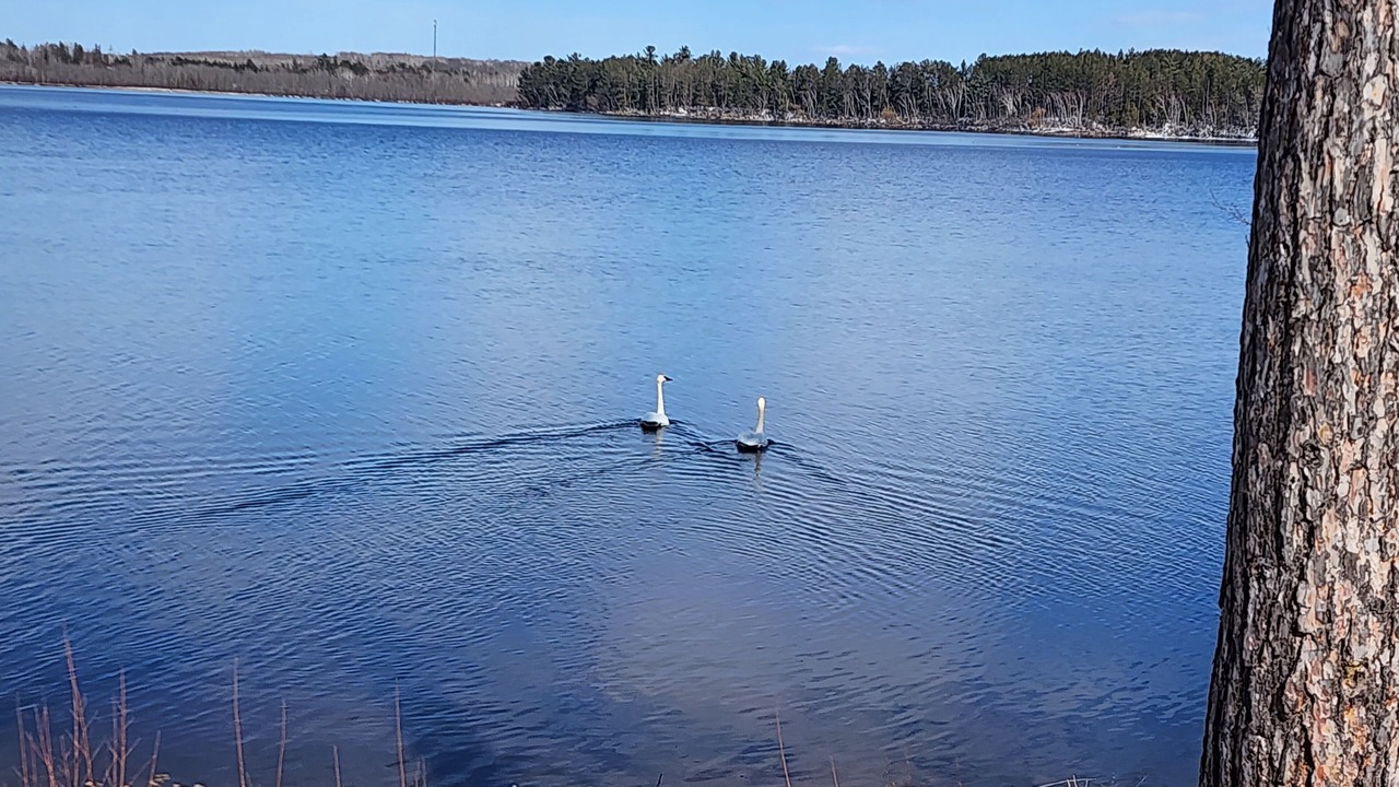 Photo of Others in Moose Lake