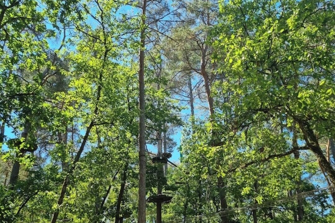 Photo of Outdoor in Buthiers