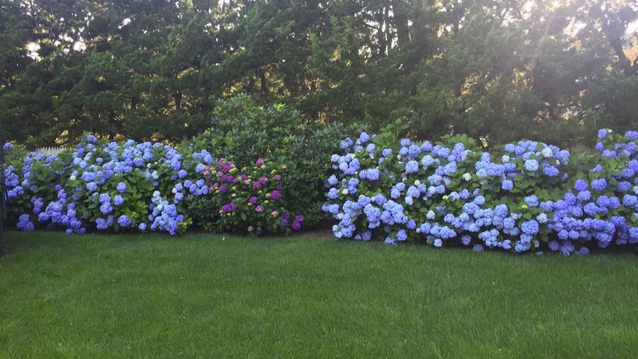 Photo of Outdoor in Village of Southampton
