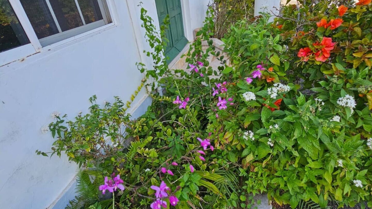 Photo of Outdoor in Porus