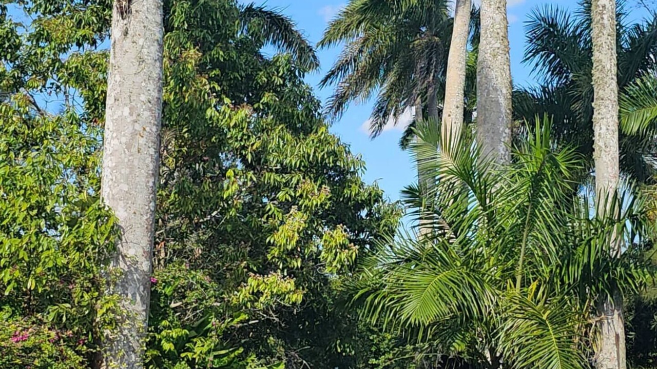 Photo of Outdoor in Porus