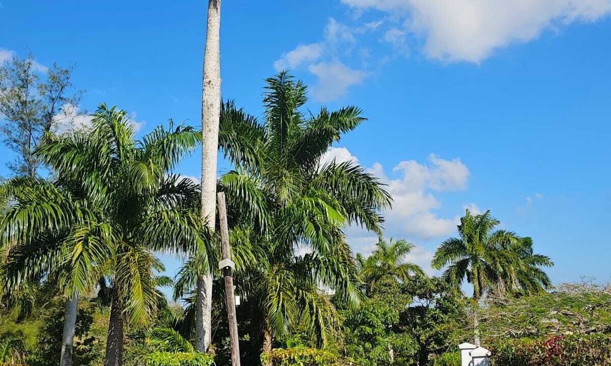 Photo of Outdoor in Porus