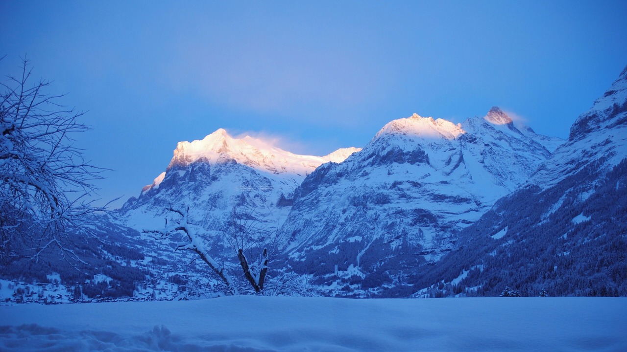 Photo of Bedroom in Grindelwald