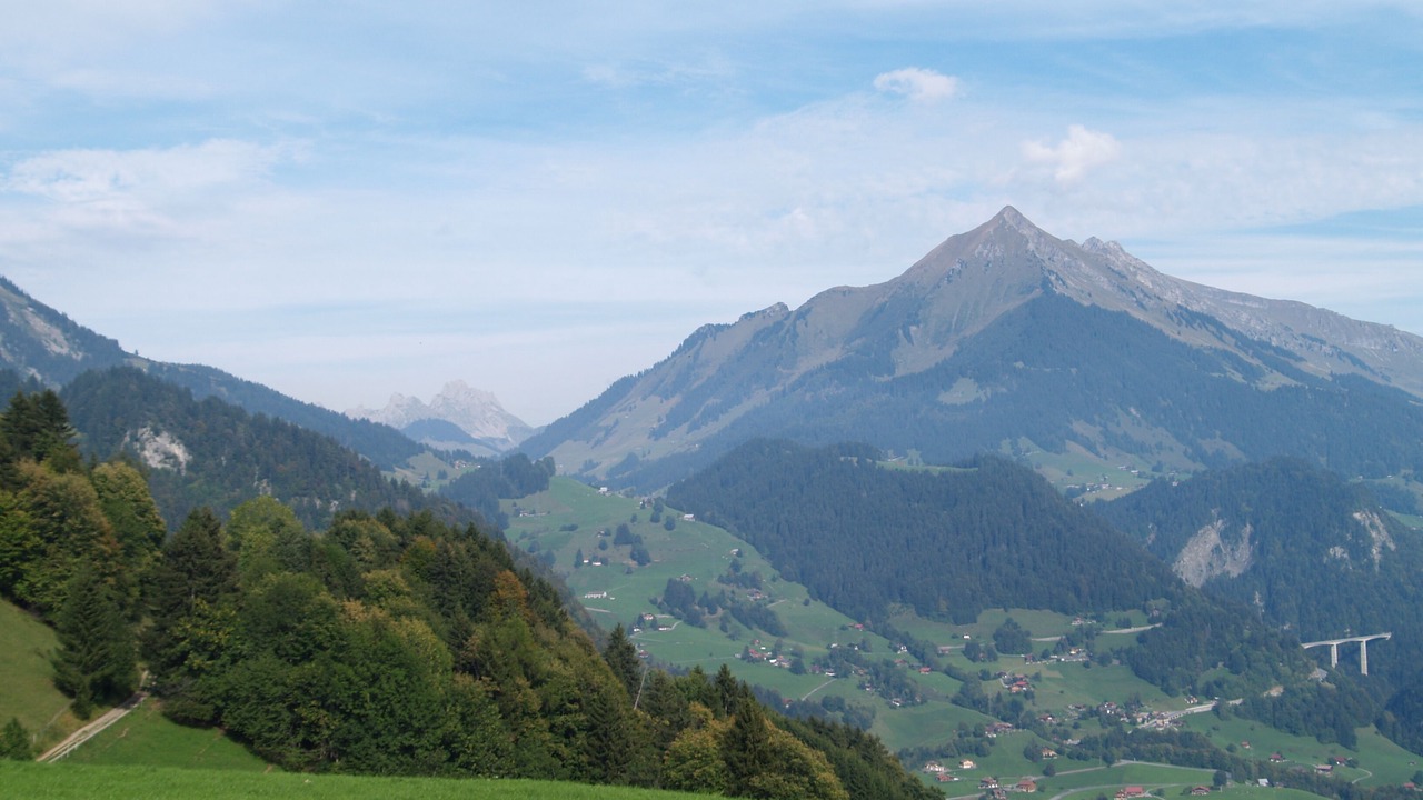 Photo of Others in Leysin