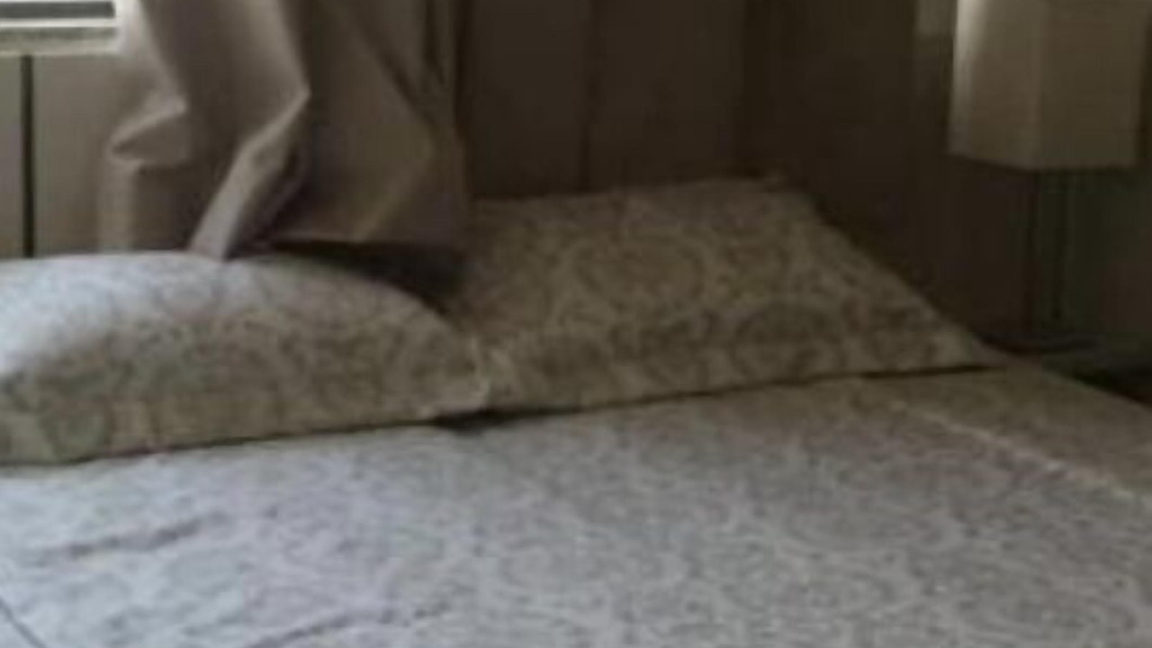 Photo of Bedroom in J Jeriquara