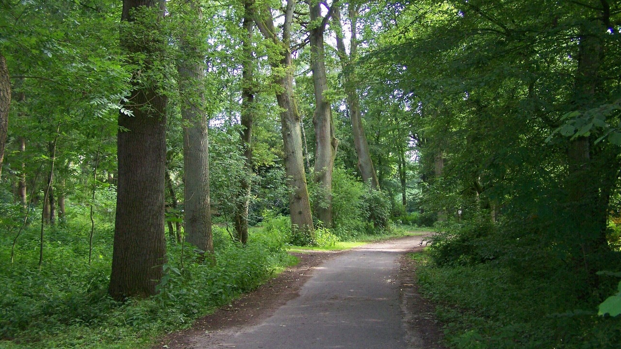Photo of Others in Rheine