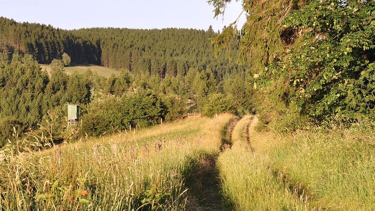 Photo of Others in Ortsmitte
