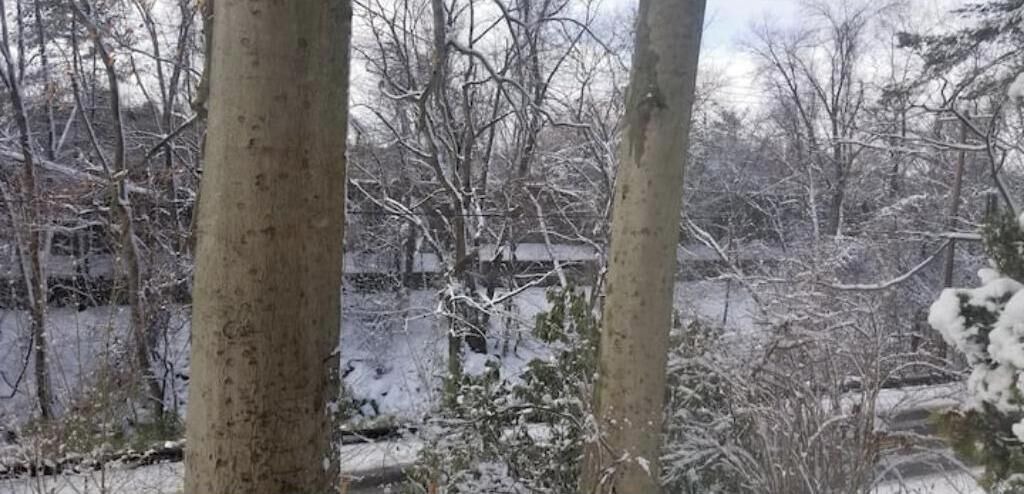 Photo of Others in Radnor