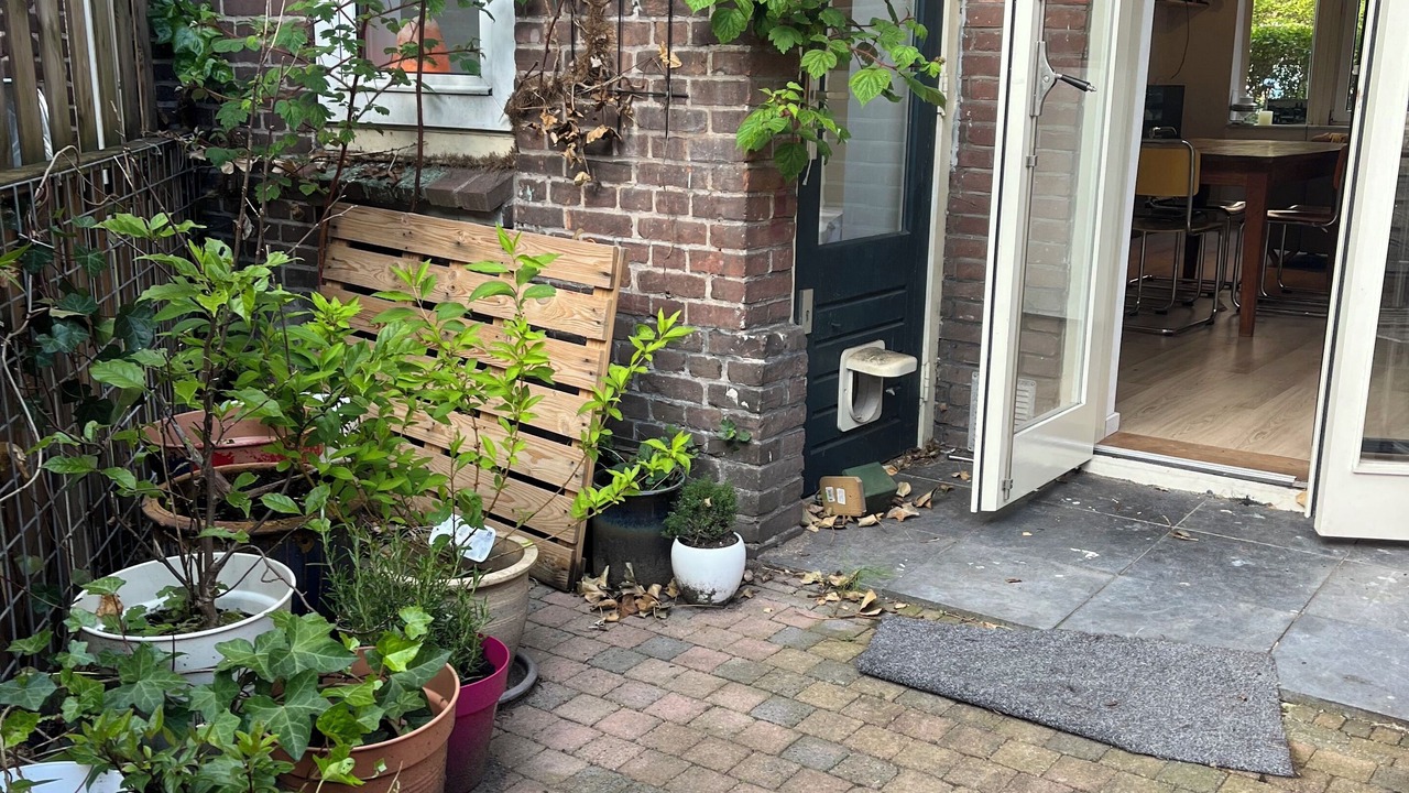 Photo of Outdoor in Weesperzijde