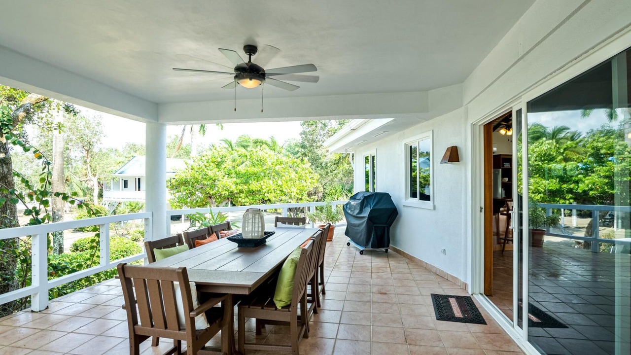 Photo of Outdoor in Placencia