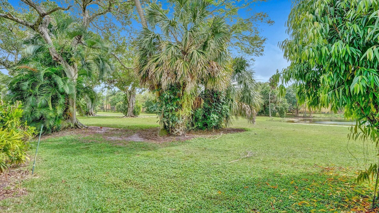 Photo of Outdoor in Survey Creek
