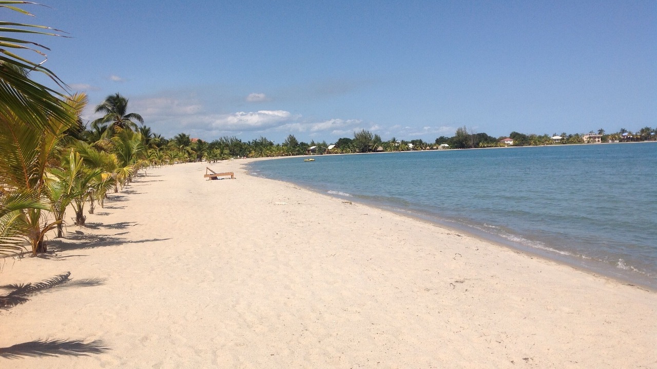 Photo of Others in Placencia