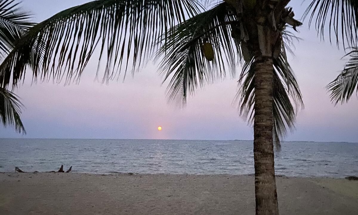 Photo of Others in Placencia