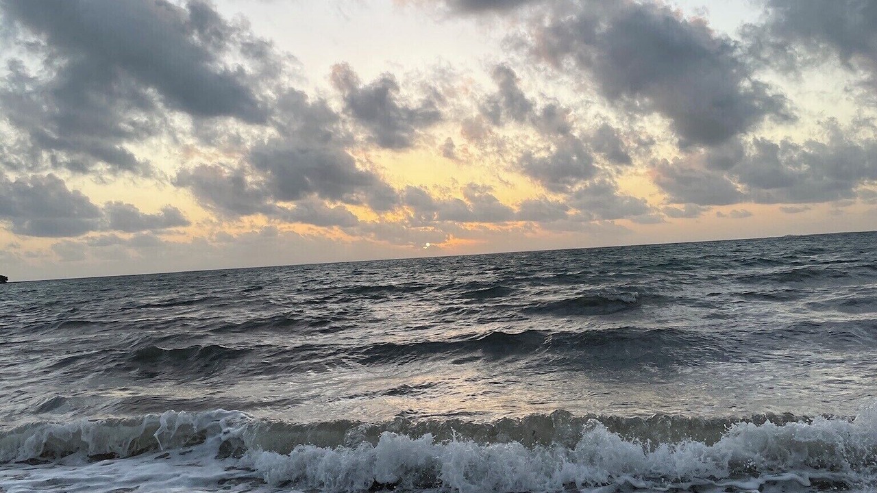 Photo of Others in Placencia